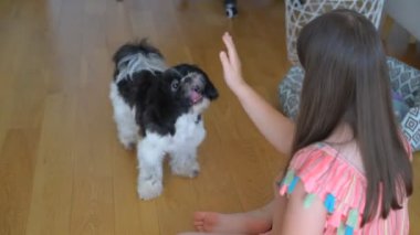 Küçük kız köpekle oynuyor. Aile evde köpekle eğleniyor.