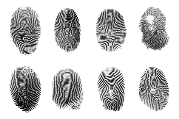 Human Fingerprints Set Biomimetic Fingermark Authentication Logo Ideas — Stock Vector