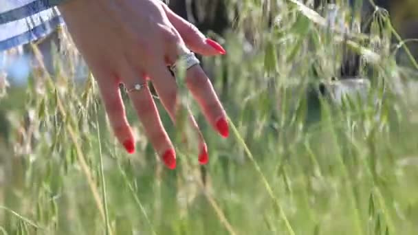 Kızlar Çimenlere Dokunuyor Yüksek Kaliteli Fullhd Görüntüler — Stok video