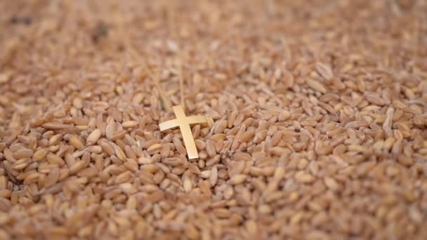 Золотий Хрест Лежить Пшениці Високоякісні Fullhd Кадри — стокове відео
