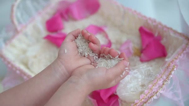 Mãos Crianças Que Mantêm Arroz Casamento Imagens Fullhd Alta Qualidade — Vídeo de Stock