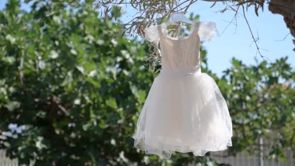Elegancka Sukienka Dla Dzieci Wisi Drzewie Oliwnym Wysokiej Jakości Materiał — Wideo stockowe