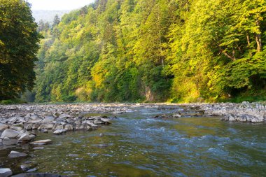 Beautiful mountain river at dawn, fog. Ukraine. The Carpathians. Travels. Rest in nature Nature