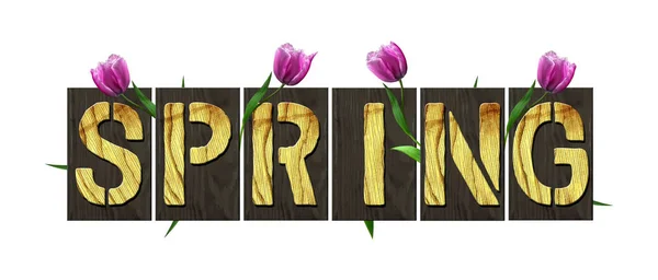 Jaro Slovo Dřevěných Písmen Zelenou Trávou Tulipány Izolované Bílém Pozadí — Stock fotografie