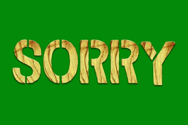 Desculpa Palavra Cartas Madeira Num Fundo Verde Estilo Vida Contexto — Fotografia de Stock
