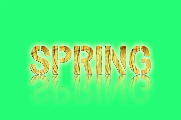 Spring Word Wooden Letters Green Background Reflection Concept Seasons Background — Stock Photo, Image