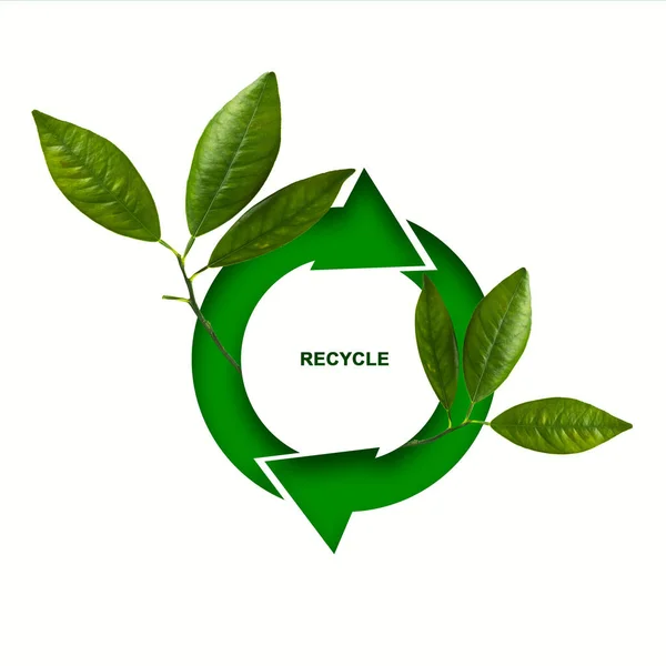 Round recycle icon, with green leaves, Isolated on a white background. Garbage sorting concept. Recycling. Ecology. Background.