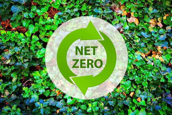 Netto Zero Ikona Tle Zielonych Liści Koncepcja Zerowej Emisji Ekologia — Zdjęcie stockowe