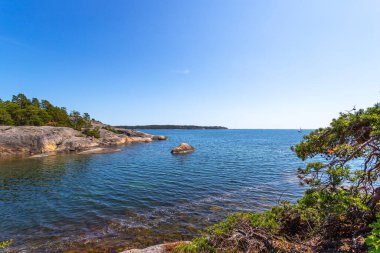 İsveç 'in güzel doğası. Deniz kıyısındaki kozalaklı ağaçlar. Doğa. Manzaralar.
