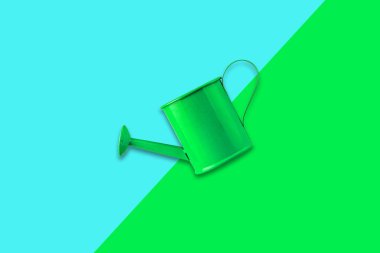 Çiçekler için yeşil metal sulama kutusu. Mavi-yeşil arka planda. Bahçe arka planı.