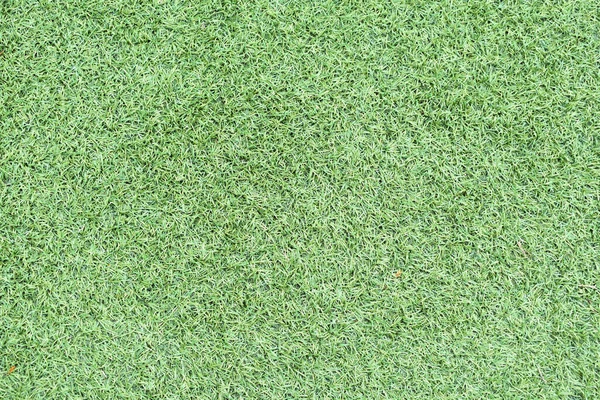 stock image artificial grass for a backdrop