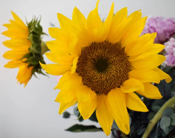 stock image Sunflower arrangement, yellow flowers, garden