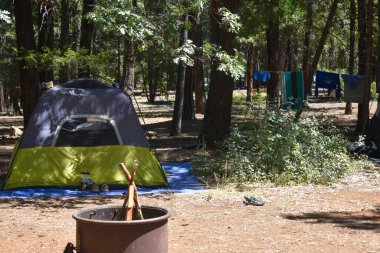 Doğada ağaçlar olan kamp ormanı - Çadırlar