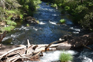 Nehir doğada hızlı akıyor.