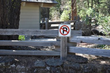 Doğada ağaçlar olan kamp alanı - Park İşareti Yok
