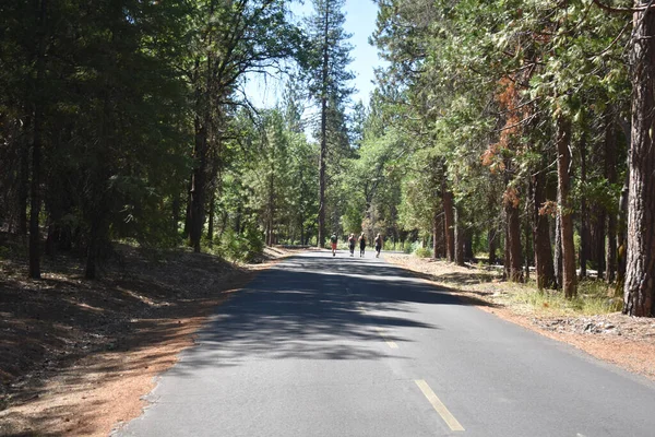 Stock image roads in nature - hiking path - campgrounds