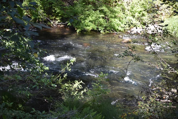 有急流的大自然中的河流 — 图库照片