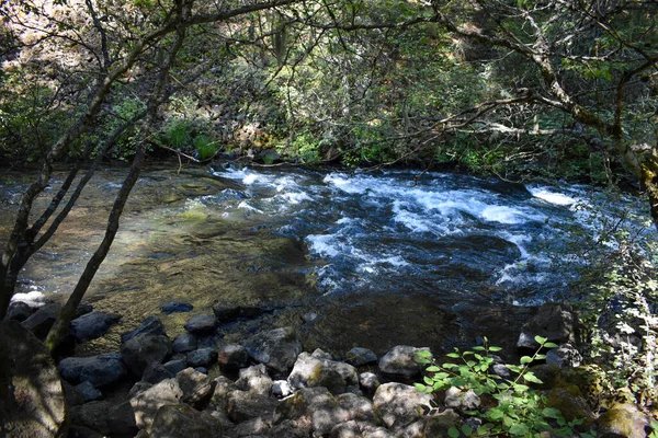 Река Природе Порогами — стоковое фото