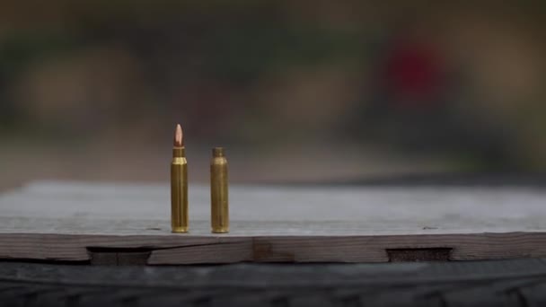Casing Bullet Shooting Range — Stock Video