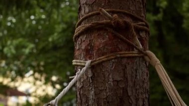 Yaz bahçesindeki bir hamakta dinleniyor.