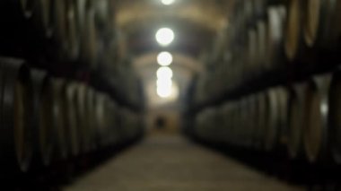 Şarap fıçıları olan eski bir depo.