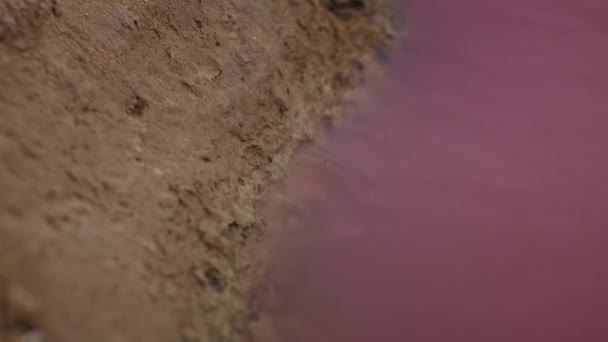 ピンクの湖と癒しの粘土ピンクの水健康な粘土 — ストック動画