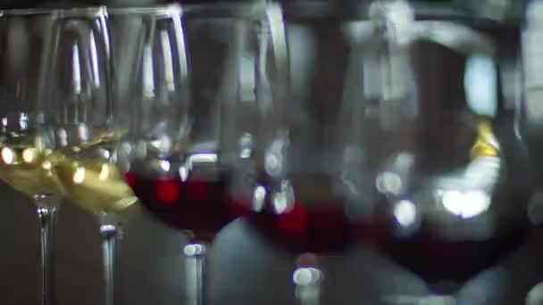 Een Glas Geurige Wijn Wijnmakerij — Stockvideo