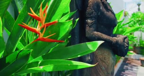 Балийская Традиционная Женская Скульптура Женская Фигура Зелени Красочных Оранжевых Цветах — стоковое видео