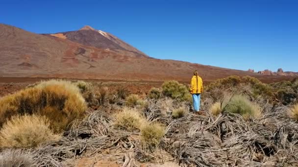 Самотній Жінці Подобається Вид Вершину Гори Захід Сонця Концепція Свободи — стокове відео