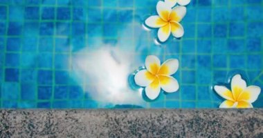 Suda yüzen tropik frangipani tesisatçısı. Spa yüzme havuzu. Huzur ve sükunet kavramı. Endonezya 'daki Bali Adası. Yakın plan..