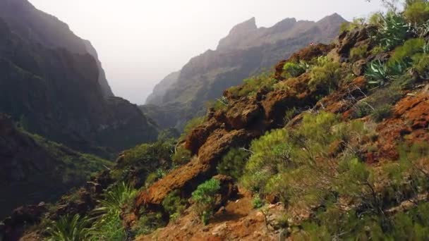 Захватывающий Вид Воздуха Небольшое Уютное Поселение Склоне Горы Ущелье Маска — стоковое видео