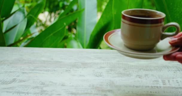 Table Green Lush Tropical Garden Waiter Serving Cup Latte Coffee — Stock Video