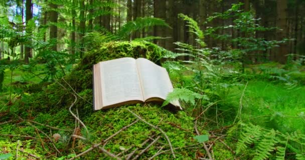 Bíblia Sagrada Abra Livro Sagrado Sobre Fundo Natural Natureza Florestal — Vídeo de Stock