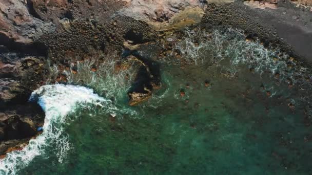 Дикі Вулканічні Спокійні Океанічні Пляжні Хвилі Падають Пісок Каміння Кам — стокове відео