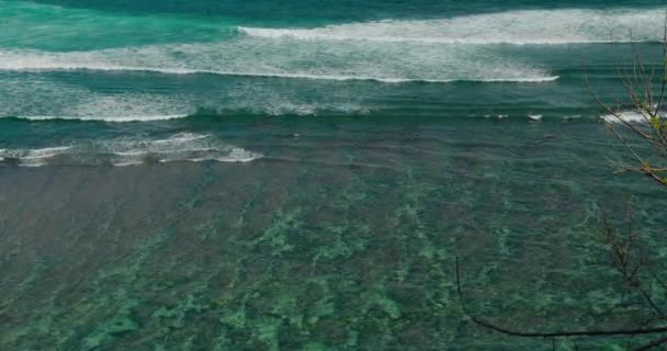 蔚蓝的大海和蔚蓝的云天地平线尽收眼底 热带绿碗海滩 有发泡的海浪 随处旅行的概念 — 图库视频影像