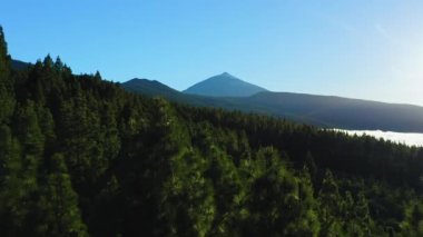 Doğal manzara beyaz bulutlar İspanya 'nın en yüksek dağı Teide yanardağının altında yüzer. Karanlık çam ormanı, kozalaklı ağaçların tepeleri ve volkanik yamaçlar. Tenerife Adası. Hava aracı görüntüleri..