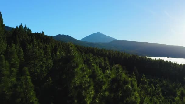 Paysage Naturel Nuages Blancs Flottent Sous Espagne Haute Montagne Teide — Video