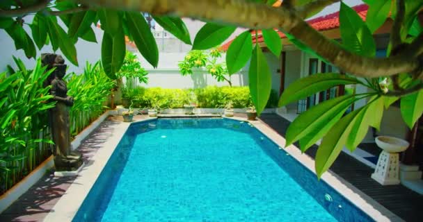 緑の庭のデザインと平和的な禅の背景ブルークリアスイミングプール インドネシアバリ島 リラクゼーション 豪華な休日 リゾートの概念 手持ちの映像 — ストック動画