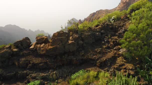 固有サボテンを背景に白い霞霧に覆われた山の峰 壮大な空中ビューの範囲の崖 急な岩場や峡谷 火山テネリフェカナリア島スペイン 有名な観光地 — ストック動画