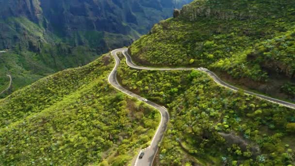 春の緑の山の自然の中で新しいアスファルトの曲がりくねった道を運転車 輸送コンセプト テネリフェ島のマスカ渓谷 スペインヨーロッパ — ストック動画