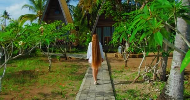 Piękny Widok Tyłu Dziewczyny Czerwonymi Długimi Włosami Spacery Tropikalnym Parku — Wideo stockowe