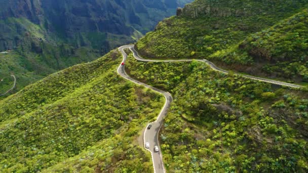 春の緑の山の自然の中で新しいアスファルトの曲がりくねった道を運転車 輸送コンセプト テネリフェ島のマスカ渓谷 スペインヨーロッパ — ストック動画