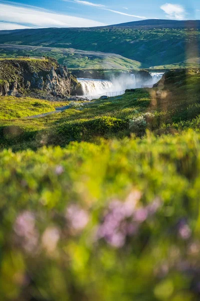 Godafoss Waterfall Bardardalur District North Central Iceland Defocused Summer Foliage — Stock Photo, Image