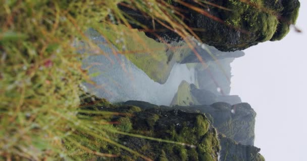 激しい雨の天気によってFjadrgljufur渓谷奇妙な急な崖の岩の形成と谷の巻き川アイスランド ヨーロッパ — ストック動画