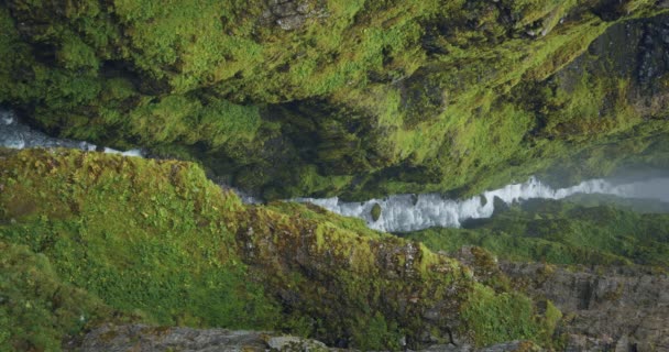 Scenic Footage Glymur Waterfall Iceland — Stock video