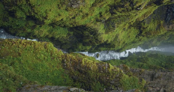 Scenic Footage Glymur Waterfall Iceland — Wideo stockowe