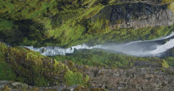 Drugi Wysokości Islandzki Wodospad Glymur Majestic Valley Islandii Widok Wodospad — Wideo stockowe