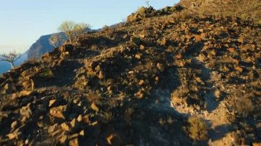 Sunset light illuminate steep Los Gigantes cliifs rocky barren volcanic mountains with dark blue deep ocean water. Sea, crags silhouette. Nature seascape. Paradise island Tenerife. Nobody.