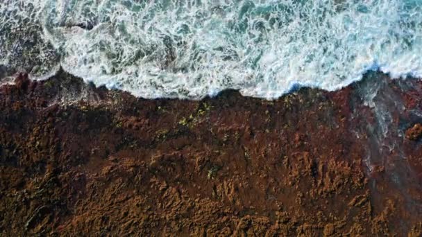Pristine Rocky Volcanic Barren Coastline Turquoise Ocean Water White Foaming — Stock Video