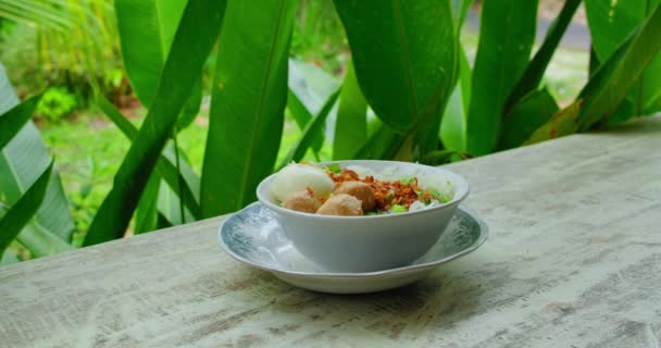 Традиційна Балійська Їжа Тарілка Смачною Стравою Індонезійської Національної Ясоїдної Курячої — стокове відео